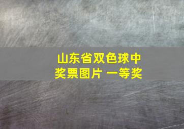 山东省双色球中奖票图片 一等奖